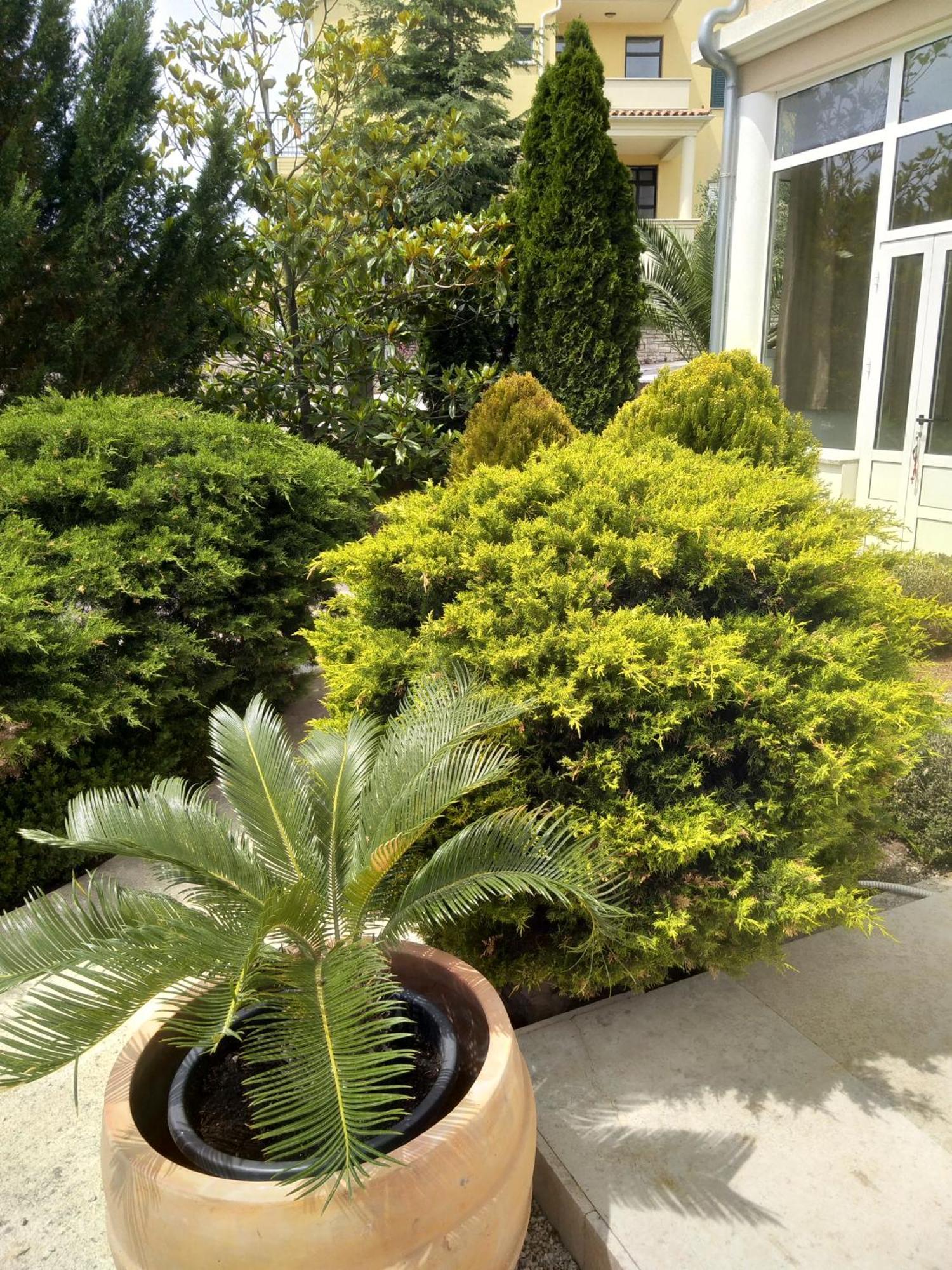 Villa Gregovica プーラ 部屋 写真